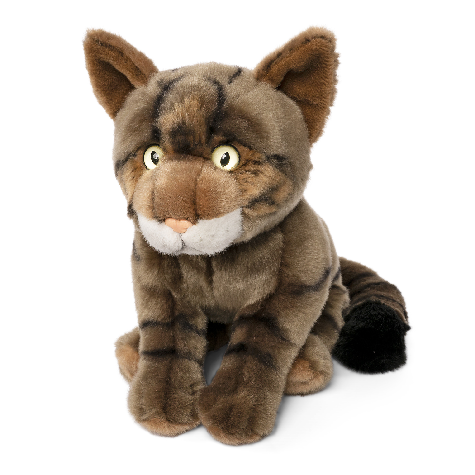 Living Nature Schottische Wildkatze: Naturerfahrung im Rollenspiel