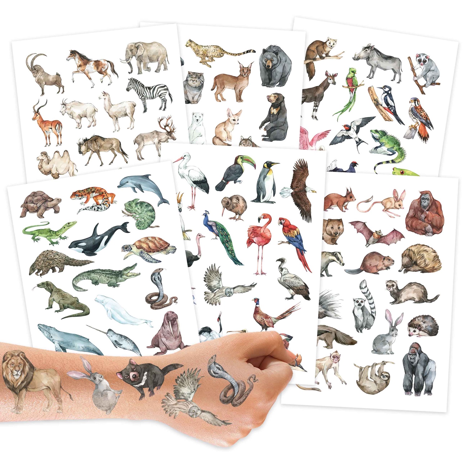 Kindertattoos Tiere der Welt: Kreativer Ausdruck und Sprachförderung