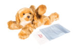 Brando der Hund: Kuscheltier, Handpuppe und Wärmefreund für Geborgenheit – Bild 5