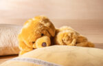 Brando der Hund: Kuscheltier, Handpuppe und Wärmefreund für Geborgenheit – Bild 8