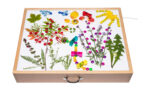 Muggelsteine transparent glitzernd: Kreativität, Feinmotorik und Mathematik – Bild 6