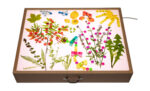 Muggelsteine transparent glitzernd: Kreativität, Feinmotorik und Mathematik – Bild 7