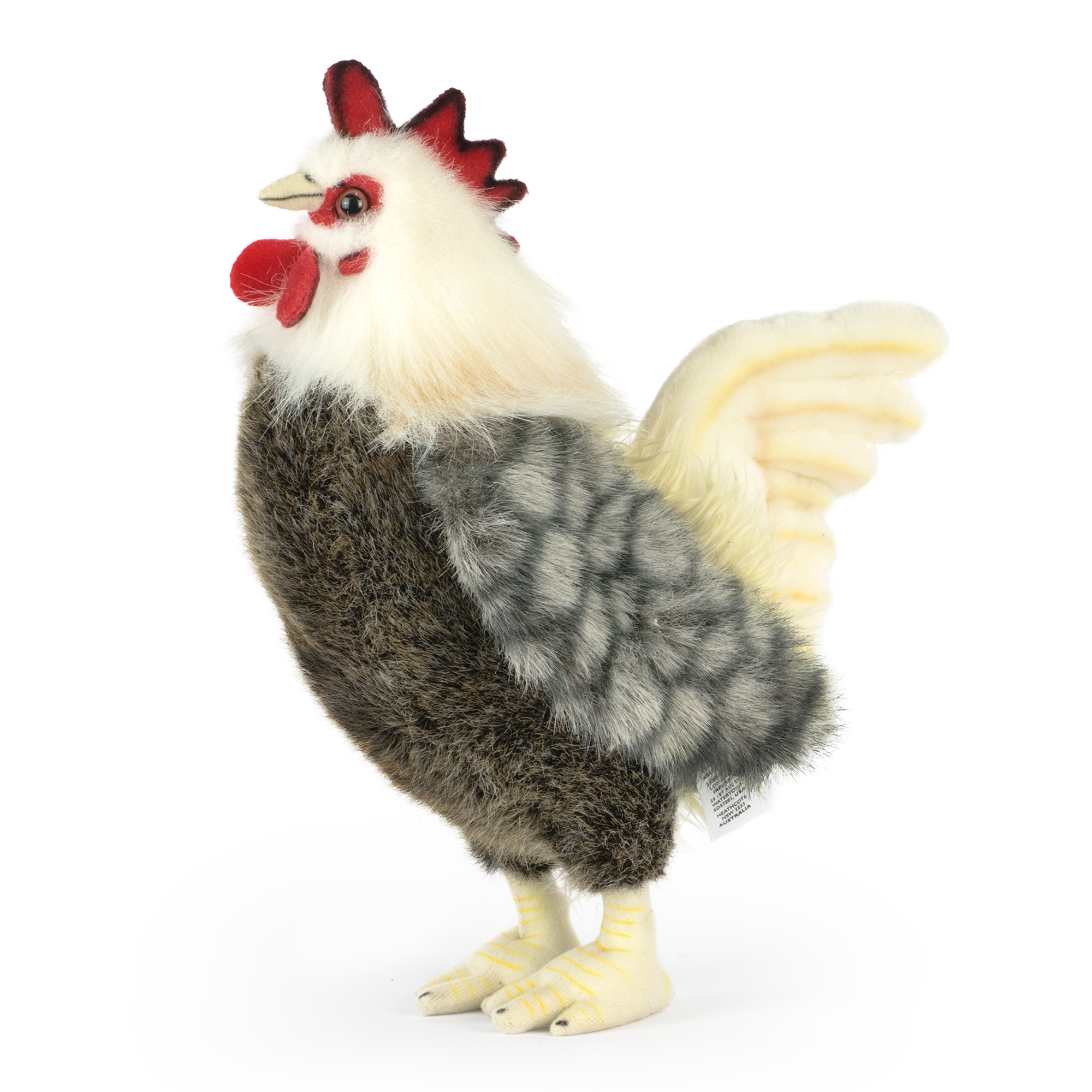 Living Nature Zwerghahn: Tierbegegnung im Rollenspiel