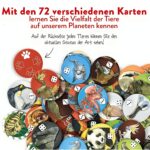 Safari Welttiere: Strategisches Brettspiel für soziales Lernen – Bild 5