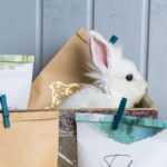 Oster-Geschenktüten Set: Kreatives Gestalten und Verpacken – Bild 5