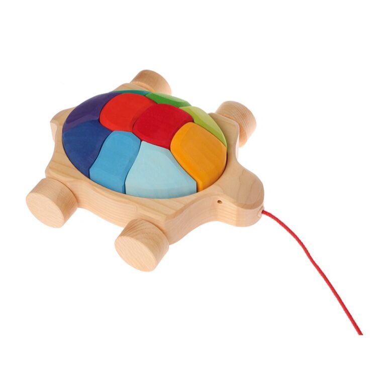 Regenbogen Schildkröte