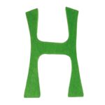 Anthroposophisches H