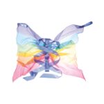 Regenbogen Seidenflügel