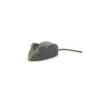 Maus