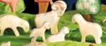 Lamm liegend