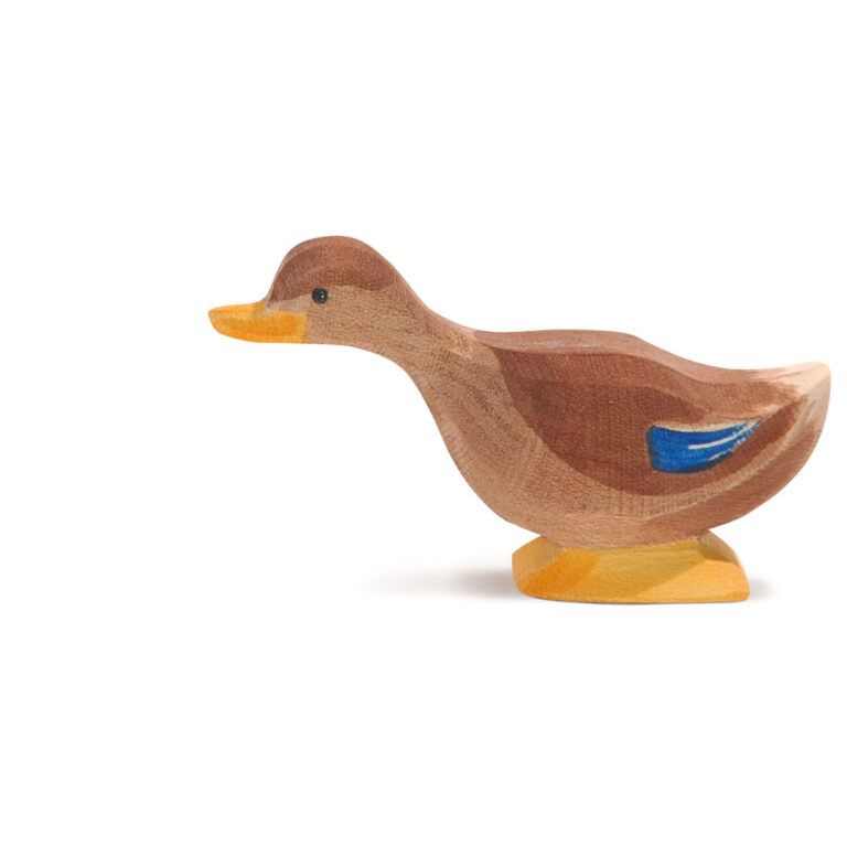 Ente Hals lang