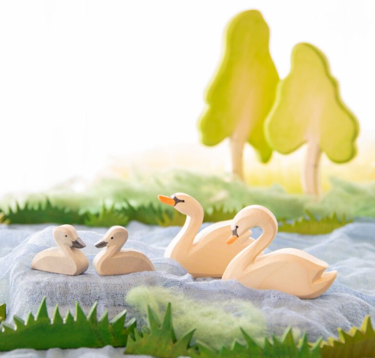 Schwan