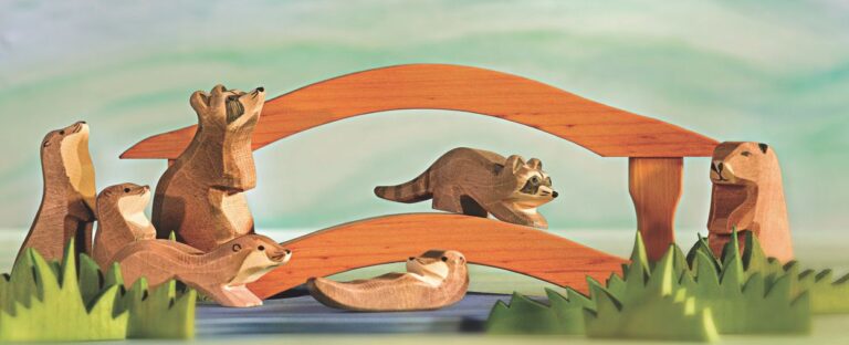 Waschbär sitzend
