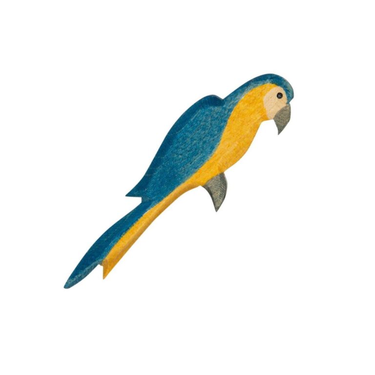 Papagei blau