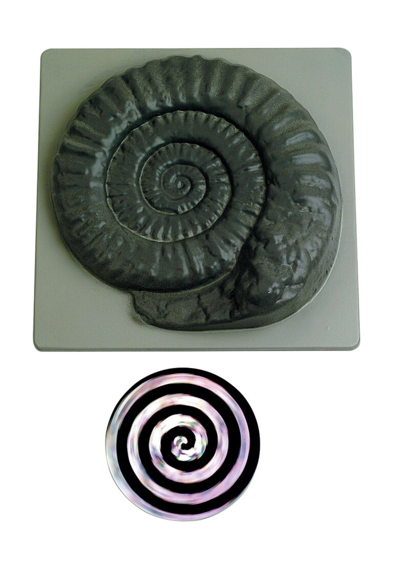 Zauberschnecke: Optische Illusion für Konzentration und Entspannung